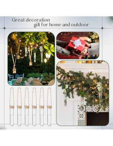 Baderke 6 Tubos de Propagación de Plantas Colgantes 14 cm