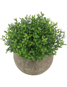 Mini Plantas Falsas Ogrmar en Maceta de Cerámica 11.9 cm 2