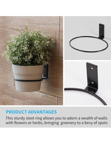 Anillo Soporte para Plantas 15 cm Maosen - 6 Paquete Metal