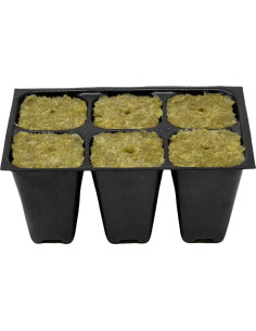 Bandeja de Inicio de Semillas La Ciudad Hidropónica 720 Celdas 2