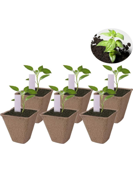 100 Macetas de Turba Biodegradables Huvai 8cm con Etiquetas