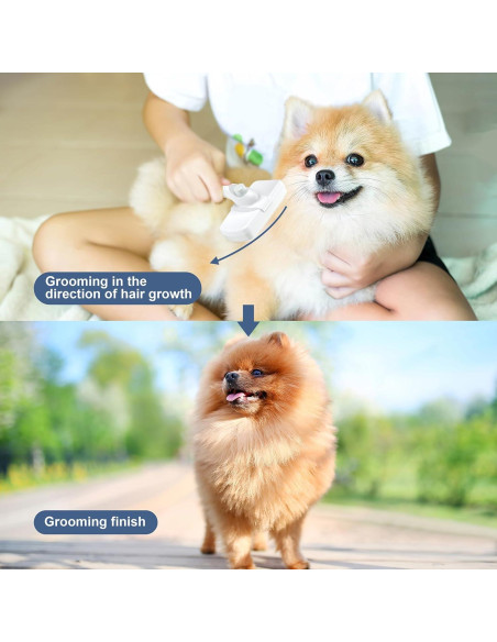 Cepillo Autolimpiante Crala para Perros y Gatos - Elimina Pelo Suelto