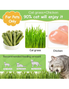 Palito de Hierba para Gatos HavenJanny 50g - Salud Dental y Bolas de Pelo 2