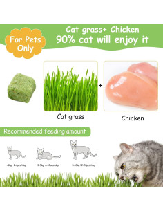 Golosinas de Hierba para Gatos HavenJanny 60g - Salud Oral y Control de Bolas de Pelo 2