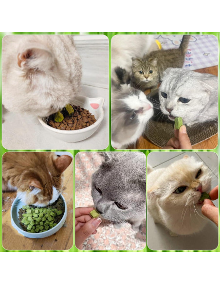 Golosinas de Hierba para Gatos HavenJanny 60g - Salud Oral y Control de Bolas de Pelo