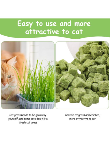 Golosinas de Hierba para Gatos HavenJanny 60g - Salud Oral y Control de Bolas de Pelo