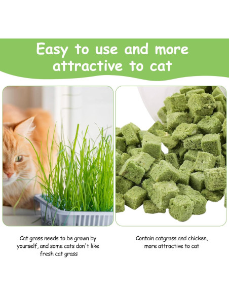 Golosinas de Hierba para Gatos HavenJanny 60g - Salud Oral y Control de Bolas de Pelo