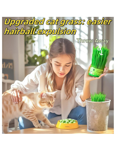 Palitos de Hierba para Gatos GREMBEB 60g - Snack Liofilizado