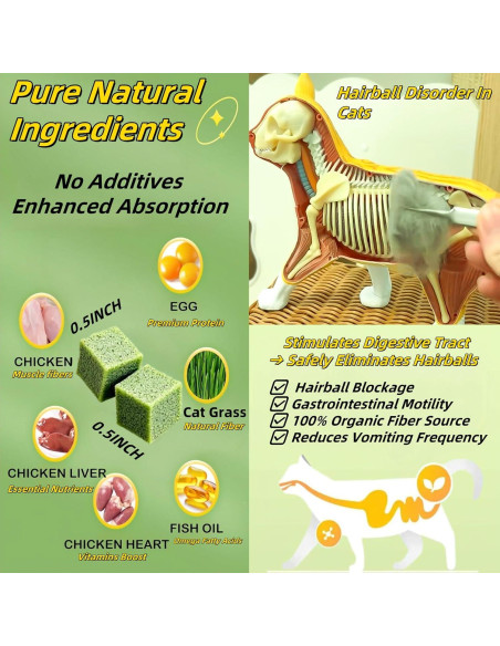 Palitos de Hierba para Gatos GREMBEB 60g - Snack Liofilizado