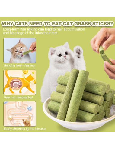 Palitos de hierba para gatos Cabaña de Dylan - 80g