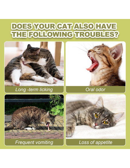 Palitos de hierba para gatos Cabaña de Dylan - 80g