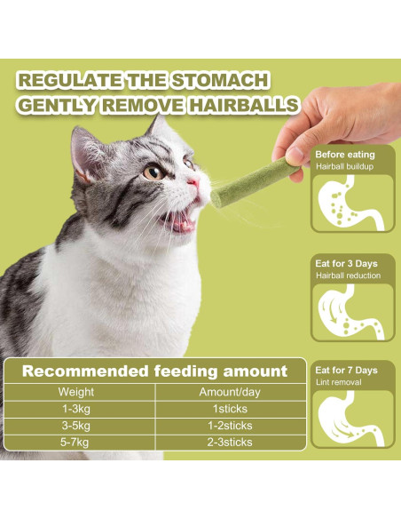 Palitos de hierba para gatos Cabaña de Dylan - 80g