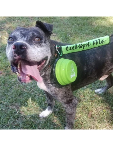 Tazones Plegables para Perros Mr. Peanut, Set de 3 Silicona