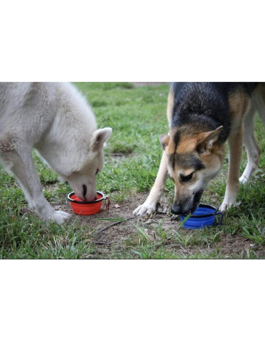 Tazones Plegables para Perros Mr. Peanut, Set de 3 Silicona