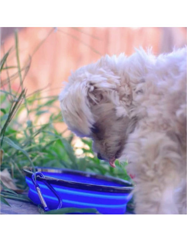 Tazones Plegables para Perros Mr. Peanut, Set de 3 Silicona