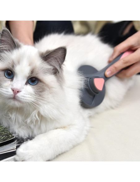 Cepillo Autolimpiante para Gatos y Perros PAKEWAY Verde