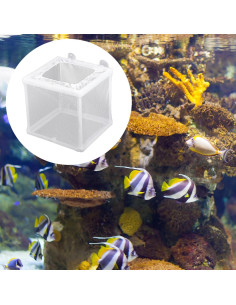 Caja Criadora de Peces FdcLixuvol 2 Piezas Malla Nylon 16x14x15cm 2