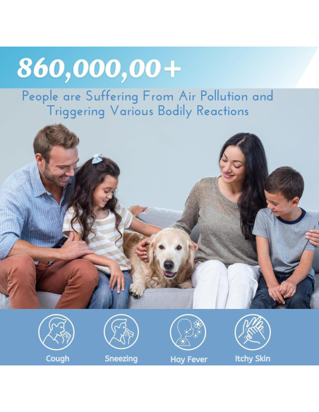 Filtro Nispira AER1 para Purificador de Aire Holmes HAPF30AT 4 HEPA 4 Carbono