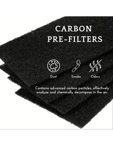 Filtro Nispira AER1 para Purificador de Aire Holmes HAPF30AT 4 HEPA 4 Carbono