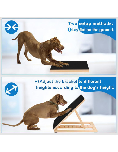 Alfombrilla para Uñas de Perro Xipet con Papel de Lija Incluido