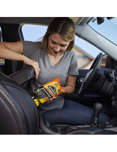 Toallitas Protectores Armor All 60 Unidades para Automóviles