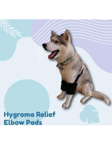 Almohadillas Reforzadas para Codos de Perro Miller Eclipse