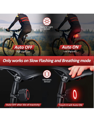 Alarma de Bicicleta EQIIO SF33R con Luz Trasera y Control Remoto