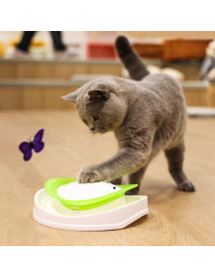 Juguete Interactivo para Gatos Todo Por Patas 2 en 1 Mariposa 2
