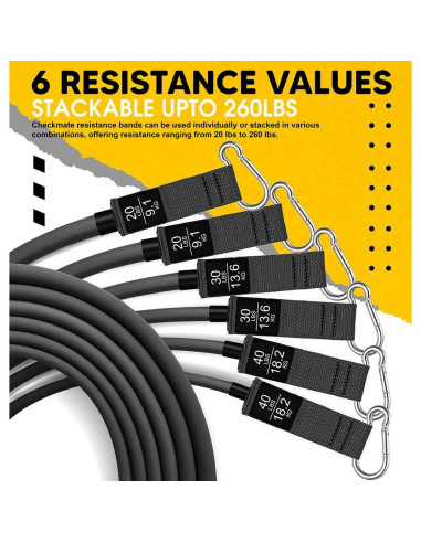 Kit de Barra de Pilates CHECKMATE con Bandas de Resistencia