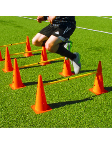 Conjunto de Entrenamiento Deportivo ASENVER - 10 Conos + Escalera 6m