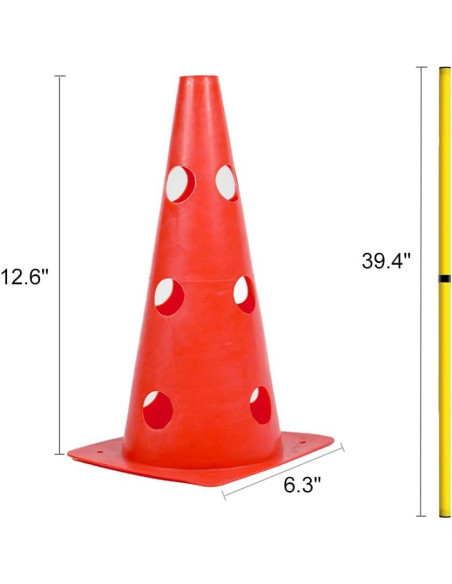 Conjunto de Entrenamiento Deportivo ASENVER - 10 Conos + Escalera 6m