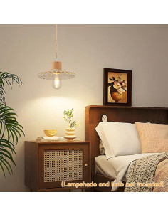 Cuerda de luz colgante Zevnico 4.57m con anillo y enchufe 2