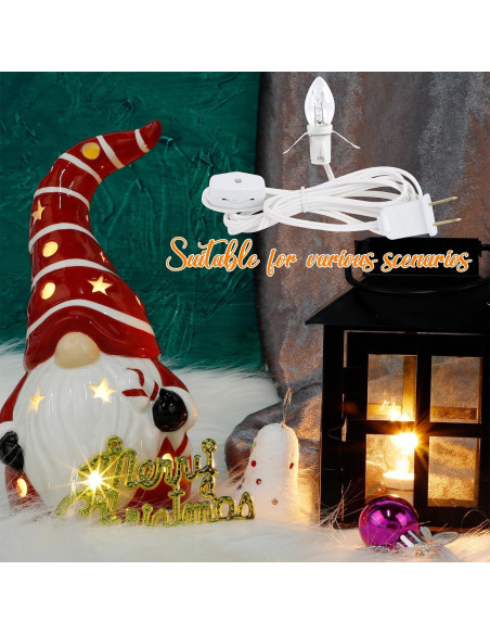 Cordón de Accesorio WATERGLIDE 4 Piezas 1.83m con Bombilla Clara