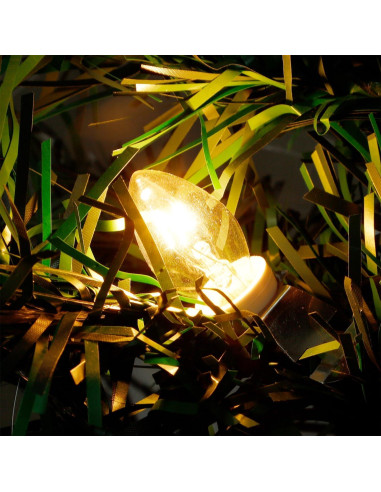 Cordón de Accesorio WATERGLIDE 4 Piezas 1.83m con Bombilla Clara