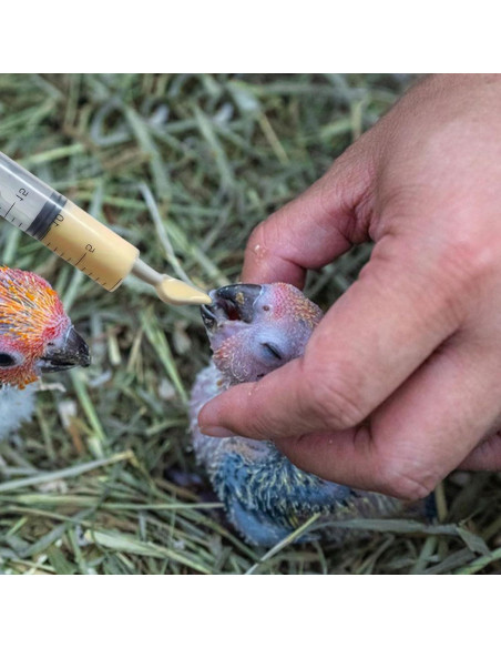 Juego de Jeringas de Alimentación Suxgumoe 12ml 20ml y Taza Medidora