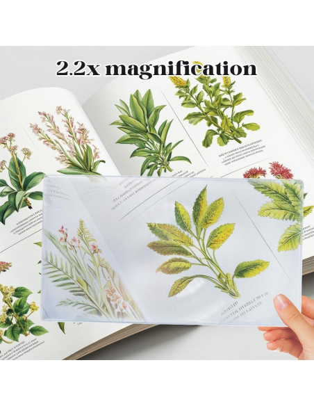 Lente Aumentadora Fresnel SOFPLATE 30.3x17cm 2.2x Acrílico