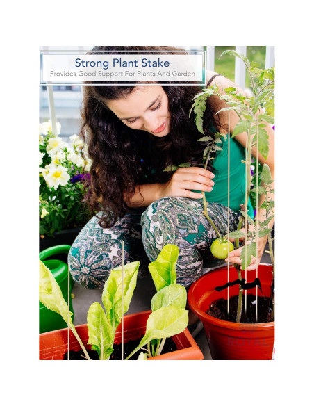 Estacas de Madera Natural Royal Imports 60.96 cm 100 Pcs