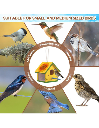 Kit de Casas para Aves Geelin - 4 Unidades de Madera con Pinturas