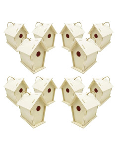 Kit de 12 Casas de Aves de Madera FBIRDY para Pintar DIY