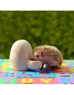 Alimentador de Agua Cerámico Dahey Automático 236.6 ml para Mascotas 2