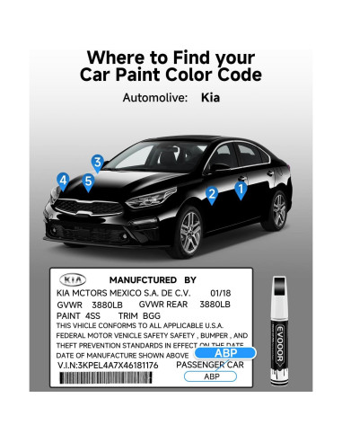 Pintura de Retoque Aurora Perla Negra EVOOOR 11.8 ml 2 en 1