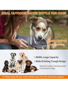 Botella de Agua para Perros Disfrutando 800ml Plegable a Prueba de Fugas 2