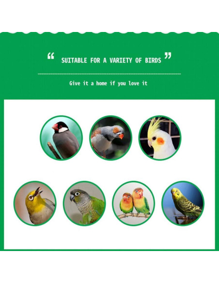 Casa de Aves de Madera Natural Milisten 17x12.5 cm DIY