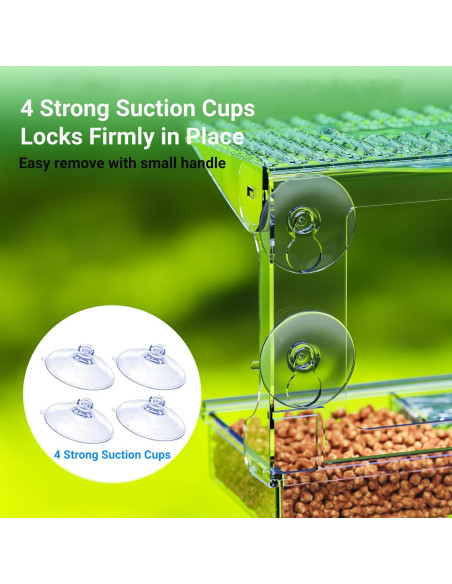 Comedero para Aves de Ventana Luugoo con 3 Semillas y Doble Agua