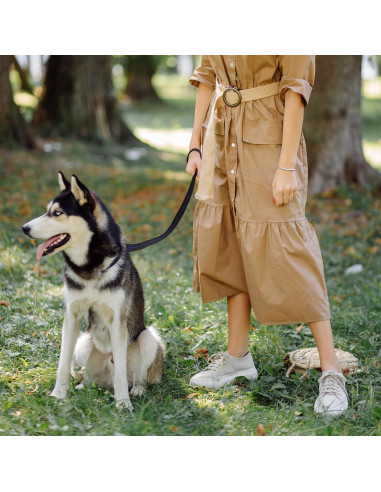 Correa de Seguridad para Silla de Paseo Bebé y Perro - Negro