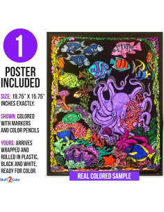 Póster de Colorear Terciopelo Pulpo Stuff2Color 40x50 cm 2