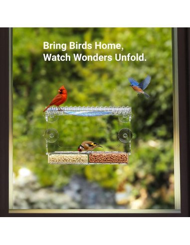 Comedero para Aves de Ventana Luugoo con 3 Semillas y Doble Agua