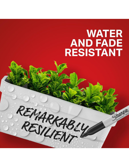 Marcadores Permanentes Sharpie Negros Punta Fina 5 Unidades