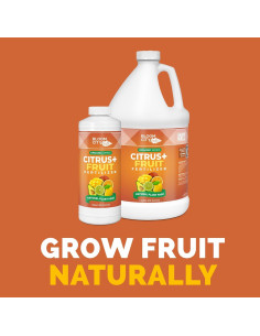 Fertilizante Orgánico Bloom City para Árboles Frutales 0.95 L 2