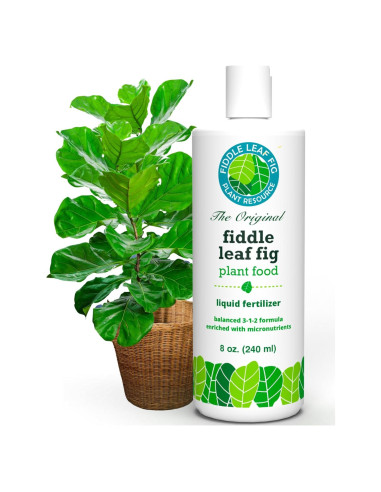 Fertilizante Líquido Fiddle Leaf Fig 226.8ml - Sin Urea NPK 3-1-2